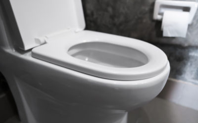 Thinking of Upgrading your Toilet?