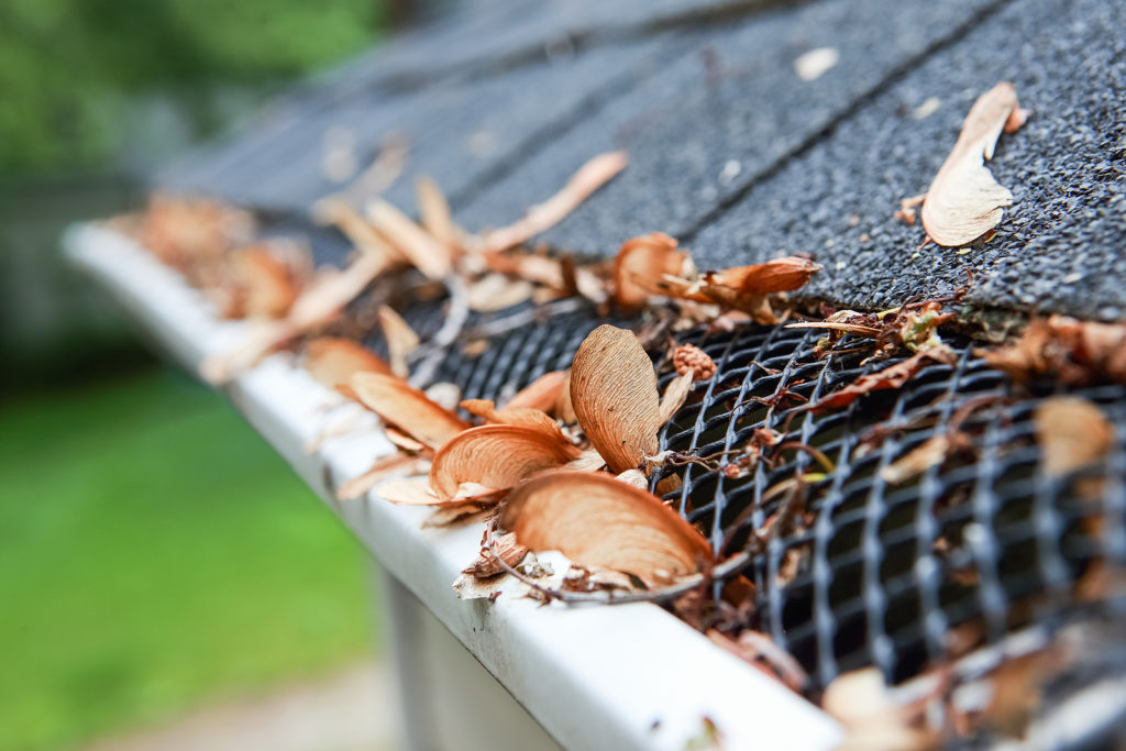 Gutter tips for home owners