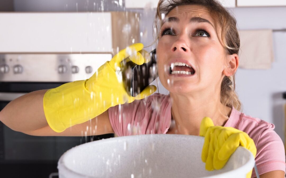 rat chewing through water pipes