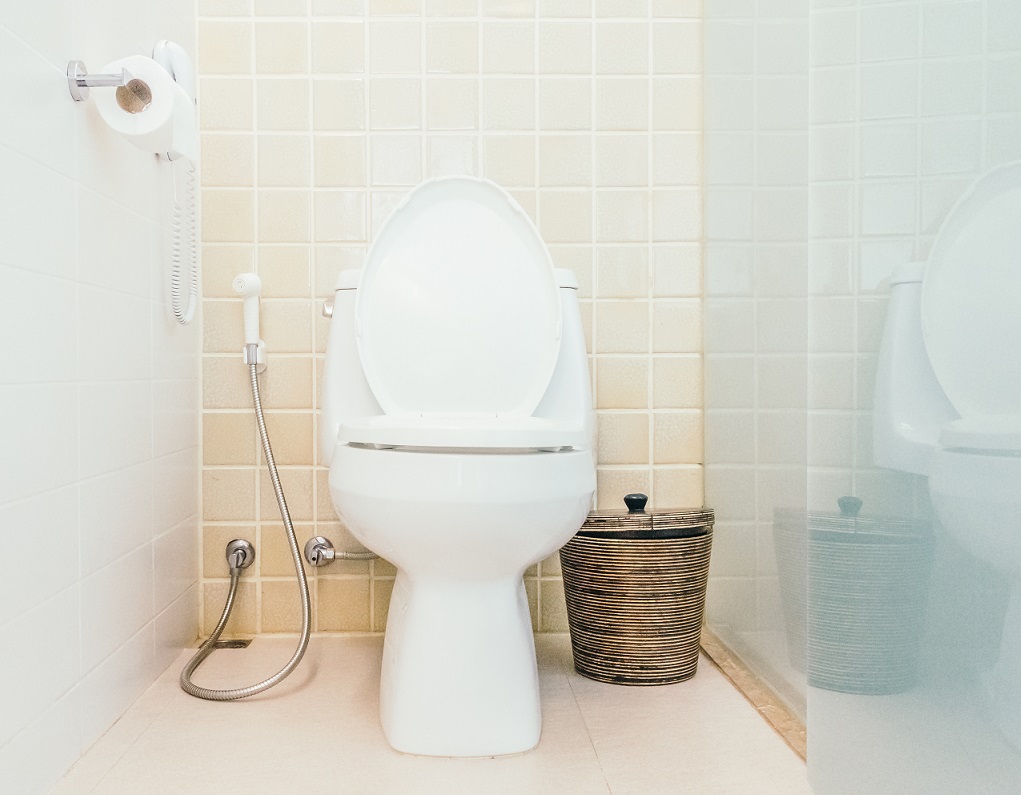 Toilet DIY toilet fix