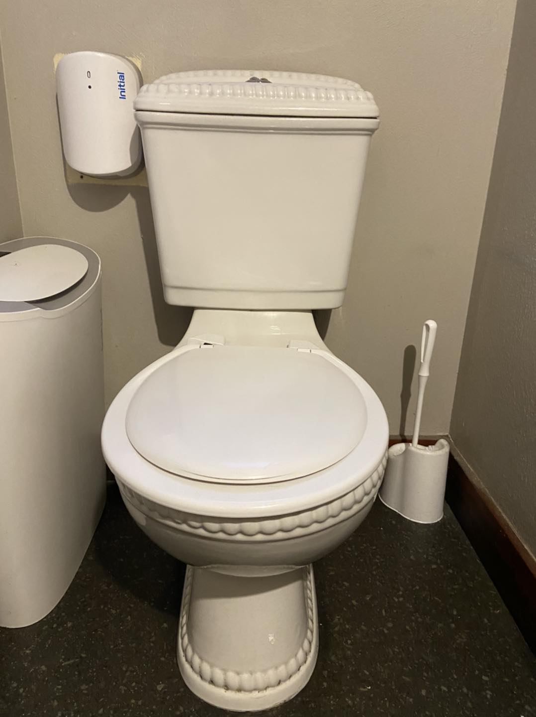 replace my toilet